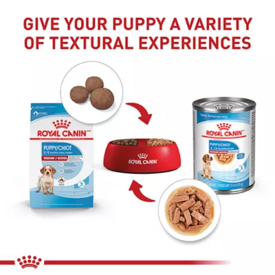 Product Royal Canin Medium Breed Puppy Dog Wet Food - 13 Oz.