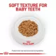 Product Royal Canin Size Health Nutrition X-Small Breed Puppy Dog Wet Food - 3 oz