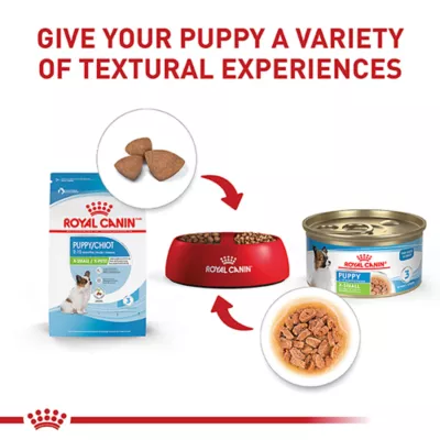 Product Royal Canin Size Health Nutrition X-Small Breed Puppy Dog Wet Food - 3 oz