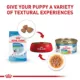 Product Royal Canin Size Health Nutrition X-Small Breed Puppy Dog Wet Food - 3 oz