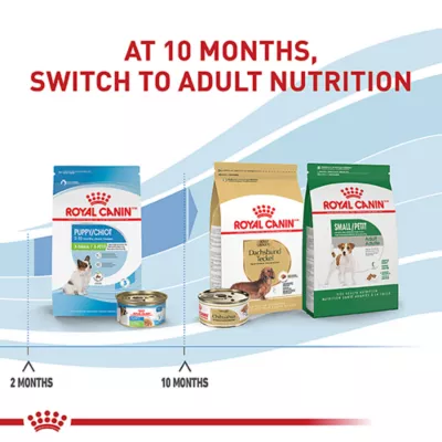 Product Royal Canin Size Health Nutrition X-Small Breed Puppy Dog Wet Food - 3 oz