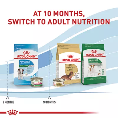 Product Royal Canin Small Puppy Dry Dog Food, Size Health Nutrition