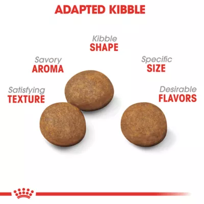 Product Royal Canin Large Puppy Dry Dog Food, Size Health Nutrition