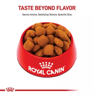 Product Royal Canin Size Health Nutrition Giant Breed Adult Dog Dry Food - 30 lb