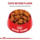 Product Royal Canin Size Health Nutrition Giant Breed Adult Dog Dry Food - 30 lb