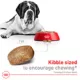 Product Royal Canin Size Health Nutrition Giant Breed Adult Dog Dry Food - 30 lb