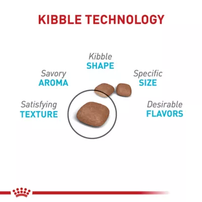 Product Royal Canin Feline Adult Dry Cat Food Care Nutrition, Urinary Care