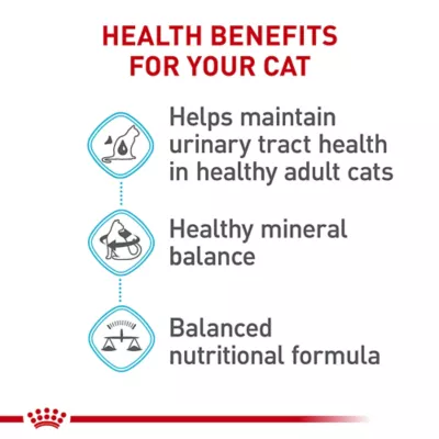 Product Royal Canin Feline Adult Dry Cat Food Care Nutrition, Urinary Care