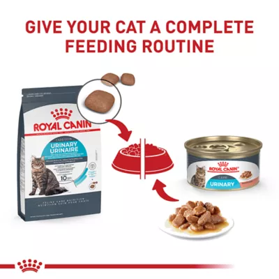 Product Royal Canin Feline Adult Dry Cat Food Care Nutrition, Urinary Care