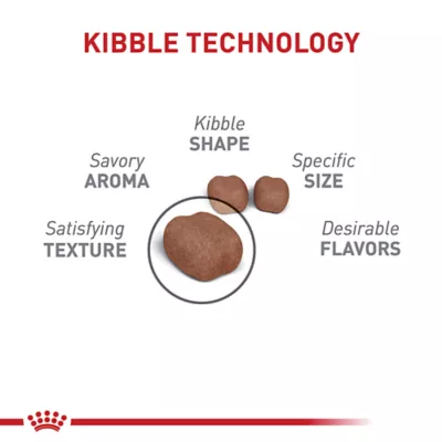 Product Royal Canin Feline Adult Dry Cat Food Care Nutrition, Dental Care