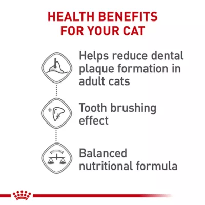 Product Royal Canin Feline Adult Dry Cat Food Care Nutrition, Dental Care