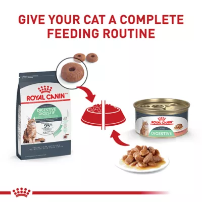 Product Royal Canin Feline Adult Dry Cat Food Care Nutrition, Digestive Care