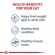 Product Royal Canin Feline Adult Dry Cat Food Care Nutrition, Weight Care