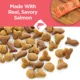 Product  Purina Cat Chow Complete Dry Cat Food High-Protein Salmon Formula 3.15LB