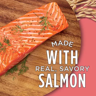 Product  Purina Cat Chow Complete Dry Cat Food High-Protein Salmon Formula 3.15LB