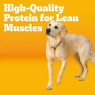 Product Pedigree Adult Dog Dry Food - Bacon Flavored Bites