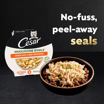 Product CESAR Wholesome Bowls Adult Wet Dog Food - 3 Oz. 6 Count, Variety Pack