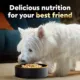 Product CESAR Wholesome Bowls Adult Wet Dog Food - 3 Oz. 6 Count, Variety Pack
