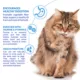 Product Inaba Churu Lickable Cat Treat - Hairball Control - Chicken