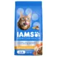 Product IAMS Proactive Health Adult Dry Cat Food - Healthy Enjoyment, Chicken & Salmon