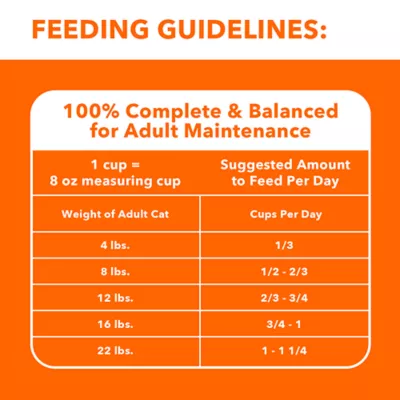 Product IAMS Proactive Health Adult Dry Cat Food - Healthy Enjoyment, Chicken & Salmon