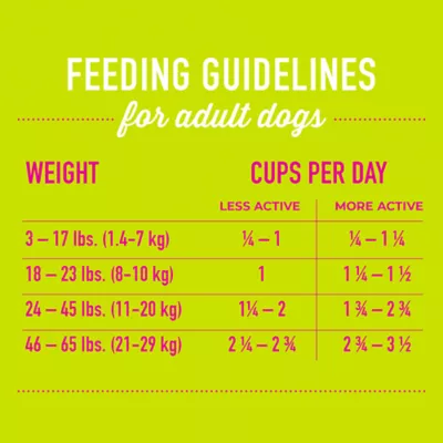 Product Tiki Dog Born Carnivore Small & Medium Breed All Life Stage Dry Dog Food - Savory Lamb