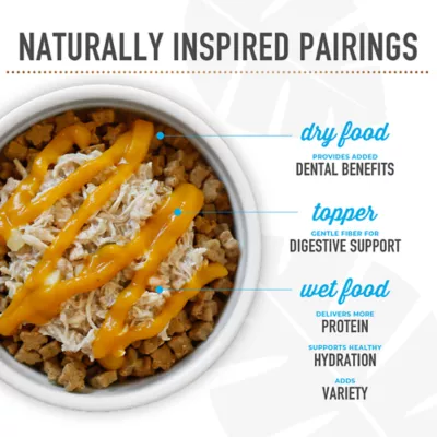 Product Tiki Dog Born Carnivore Small & Medium Breed All Life Stage Dry Dog Food - Savory Lamb