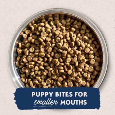 Product Natural Balance Limited Ingredient Diet Puppy Dry Dog Food - Lamb & Brown Rice