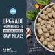 Product Instinct® Raw Meals Freeze-Dried Adult Dog Dry Food - Grain Free, Alaskan Pollock