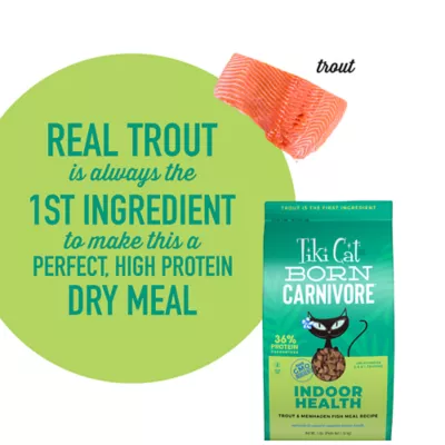 Product Tiki Cat® Born Carnivore® Indoor Health Dry Cat Food - High Protein, Non-GMO, Trout & Menhaden Fish