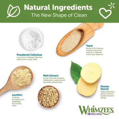 Product WHIMZEES Hedgehog Large Dog Dental Treats - Vegetable