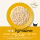 Product Applaws Kitten Food in Broth - With Grains, Multipack