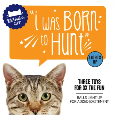 Product Whisker City® Light-Up Ball Cat Toy - 3 Pack