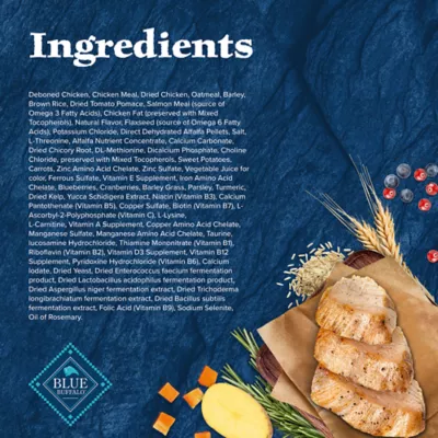 Product Blue Buffalo Wilderness Nature's Evolutionary Diet Small Bite Adult Dry Dog Food - Chicken