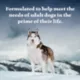 Product Blue Buffalo Wilderness Variety Pack Adult Wet Dog Food - Grain Free, 12.5 oz, 6 Count