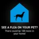Product NextStar® Flea & Tick Prevention for Small Dogs 5-22 lbs