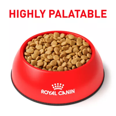 Product Royal Canin® Veterinary Diet Canine Gastrointestinal Adult Dry Dog Food # High Fiber