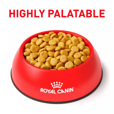 Product Royal Canin® Veterinary Diet Canine Urinary UC Adult Dry Dog Food
