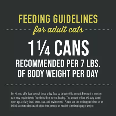 Product Tiki Cat After Dark Pate+ Adult Cat Wet Food - 5.5 oz