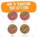Product Weruva B.F.F. PLAY Pate! For Tuna Lovers Wet Cat Food - Pate in a Hydrating Puree, 2.8 OZ