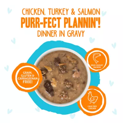 Product Weruva B.F.F. OMG Gravy! For Land & Sea Lovers Wet Cat Food - Minced in Gravy, 2.8 OZ, Pouch