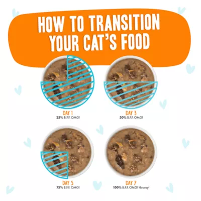 Product Weruva B.F.F. OMG Gravy! For Land & Sea Lovers Wet Cat Food - Minced in Gravy, 2.8 OZ, Pouch