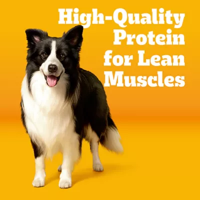 Product Pedigree With MarroBites Pieces Adult Dry Dog Food - Steak & Vegetable