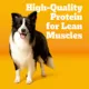 Product Pedigree With MarroBites Pieces Adult Dry Dog Food - Steak & Vegetable