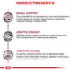 Product Royal Canin® Veterinary Diet Canine Renal Support A Adult Dry Dog Food