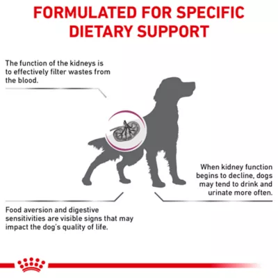 Product Royal Canin® Veterinary Diet Canine Renal Support A Adult Dry Dog Food