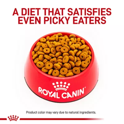 Product Royal Canin® Veterinary Diet Canine Weight Control Large Dog Adult Dry Dog Food