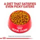 Product Royal Canin® Veterinary Diet Canine Weight Control Large Dog Adult Dry Dog Food