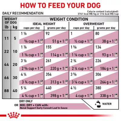 Product Royal Canin® Veterinary Diet Canine Renal Support Early Consult Adult Dry Dog Food