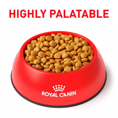 Product Royal Canin Veterinary Diet Multifunction Adult Dry Dog Food - Urinary SO + Aging 7+